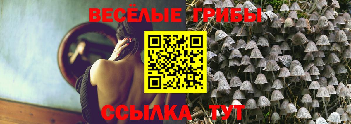 Галлюциногенные грибы MAGIC MUSHROOMS  Вход с VPN  Шадринск  Псилоцибиновые грибы мухоморы 